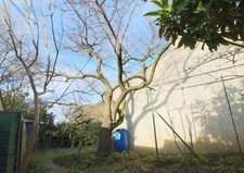 Maison 5p, 109m2, plain-pied 85m2+24m2 à l’étage, terrain 484m2, garage.