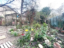 Maison calme, jardin
