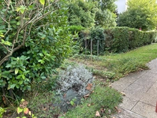 Maison plain-pied, jardin, garage