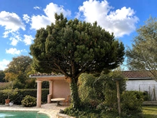 Maison familiale avec piscine au cœur de Savigneux (01480)