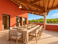 PROPRIÉTÉ AVEC DEUX MAISONS INDÉPENDANTES DE PLAIN-PIED, AU CŒUR DES VIGNES