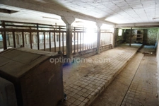 Maison des années 1700 en pierres et ses dépendances à MEURCOURT (70)