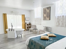 TOULOUSE SUD-EST - CHATEAU XVIIIe RENOVE - 680 m² - PARC 14000 m² - CALME - PISCINE - CHAMBRES D'HOTES 