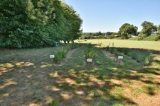 petite propriété de 1,5 hectares