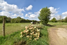 Domaine équestre de 12 hectares