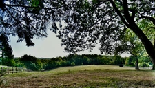 Superbe propriété équestre de 5ha environ, avec maison stylée de 184m² à 5mn de LORIENT