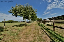 Superbe propriété équestre de 5ha environ, avec maison stylée de 184m² à 5mn de LORIENT