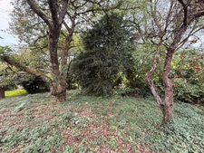 EN EXCLUSIVITE ! Maison en pierre 57m² à restaurer avec grange et garage sur terrain 486m² 29 900 €