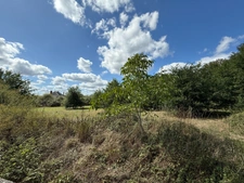  Manoir de 170m² avec son annexe de 50m² et ses dépendances sur terrain de 3 423m² 244 000 €