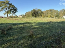 Terrain constructible de 2500m² 25 000 €