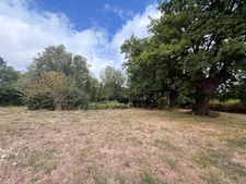 Propriété de caractère 284m² habitable, 5 chambres, annexe + grange sur terrain de 6885m² 197 000 €