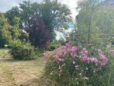 EN EXCLUSIVITE ! Maison en pierre de 115m2 + dépendances sur 4079m2 de terrain 89 990 €