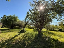 EN EXCLUSIVITE ! Propriété avec maison d'habitation 87m², dépendances sur 13 600m² de terrain 148 000 €
