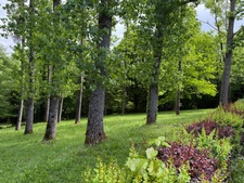 EN EXCLUSIVITE Maison 184m², 4 chambres avec dépendances sur 4396m² de terrain 178 900 €
