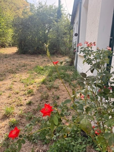 EN EXCLUSIVITE ! Charmante maison de plain pied 97m², 3 chambres, sur 1,2ha de terrain 107 000 €