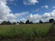 Terrain constructible 11 025m²  23 000 €