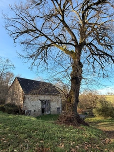 EN EXCLUSIVITE Maison en pierre de 113m² avec grange sur 2,4ha de terrain 128 000 €