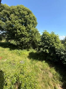 Ancienne grange à finir de restaurer 140m², 4 chambres, sur 1,2 hectares de terrain, 79 000 €