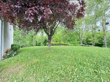 EN EXCLUSIVITE Maison 184m², 4 chambres avec dépendances sur 4396m² de terrain 178 900 €