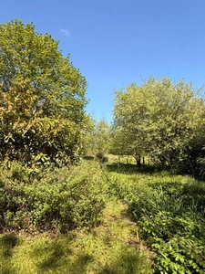 MAGNIFIQUE Moulin de Peurousseau 142m², 4 chambres sur terrain de 4663m² 174 000 €