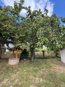 EN EXCLUSIVITE ! Pavillon de 114m², sur sous sol,  terrain de 956m2 169 900 €