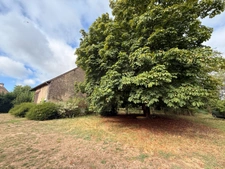 Propriété de caractère 284m² habitable, 5 chambres, annexe + grange sur terrain de 6885m² 197 000 €