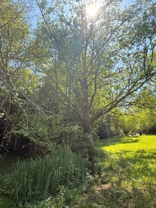 MAGNIFIQUE Moulin de Peurousseau 142m², 4 chambres sur terrain de 4663m² 174 000 €