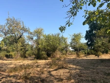 EN EXCLUSIVITE ! Ancienne petite ferme à restaurer 66m² avec dépandances terrain 2238m² 24500€
