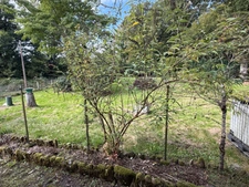 Pavillon sur sous sol, 118m², 3 chambres avec véranda sur 2721m² de terrain 128 000 €