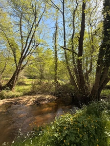 MAGNIFIQUE Moulin de Peurousseau 142m², 4 chambres sur terrain de 4663m² 174 000 €