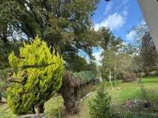Pavillon sur sous sol, 118m², 3 chambres avec véranda sur 2721m² de terrain 128 000 €