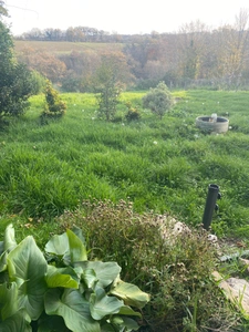 Ensemble de 2 maisons mitoyennes en pierre 209m² + grange, terrain 2000m² 79 500 €