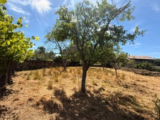 Maison en pierre de 126m², 4 chambres, avec grange 65 000 €