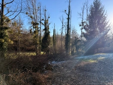 EN EXCLUSIVITE ! Maison en pierre à finir de restaurer, 73m² avec grange sur terrain de 2 200 m²