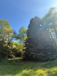 MAGNIFIQUE Moulin de Peurousseau 142m², 4 chambres sur terrain de 4663m² 174 000 €