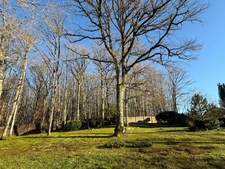 Maison en pierre 158m², 5 chambres, avec garage sur parc arboré de 5193m² 249 000 €