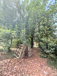  Longère en pierre 90m², sur terrain de 2379m² 69 990 €