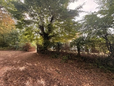 EN EXCLUSIVITE ! Charmante maison de plain pied 97m², 3 chambres, sur 1,2ha de terrain 107 000 €