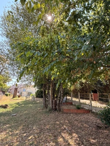 EN EXCLUSIVITE ! Maison en pierre 54m², 2 chambres sur 593m² de terrain + Terrain indépendant de 1420m² 66 500 €