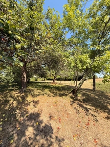 Charmante maison en pierre, 115m², 3 chambres, 1175 m² de terrain 89 900 €