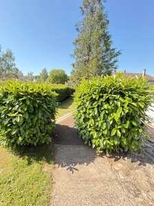 Pavillon sur sous sol de 170m², 5 chambres, piscine sur terrain de 2000m² 197 000 €
