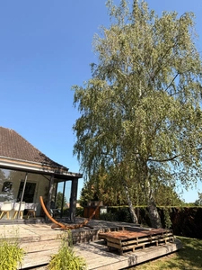 Pavillon sur sous sol de 170m², 5 chambres, piscine sur terrain de 2000m² 197 000 €