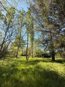 MAGNIFIQUE Moulin de Peurousseau 142m², 4 chambres sur terrain de 4663m² 174 000 €