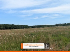 Hameau à réinventer sur 6,7 hectares de nature préservée – Secteur Mamers