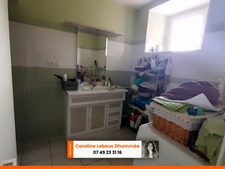 PERCHE - Manoir médiéval 1,5ha puits et dépendances