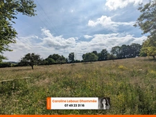 Perche Longère 80m² dépendances terrain 1ha
