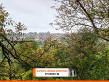Perche Longère 80m² dépendances terrain 1ha