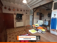 PERCHE - Manoir médiéval 1,5ha puits et dépendances