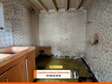 Perche Longère 80m² dépendances terrain 1ha