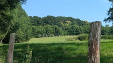 Perche sarthois Longère dépendances sur 11 hectares